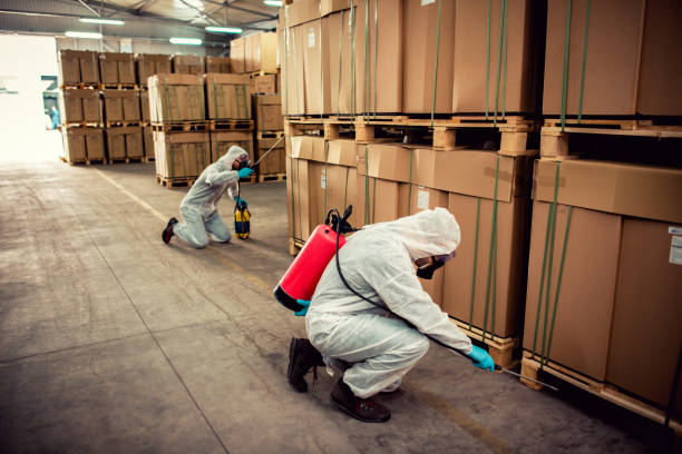 Best Best Pest Control Companies  in Patton Village, TX