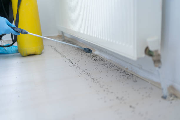 Best Pest Control for Businesses  in Patton Village, TX